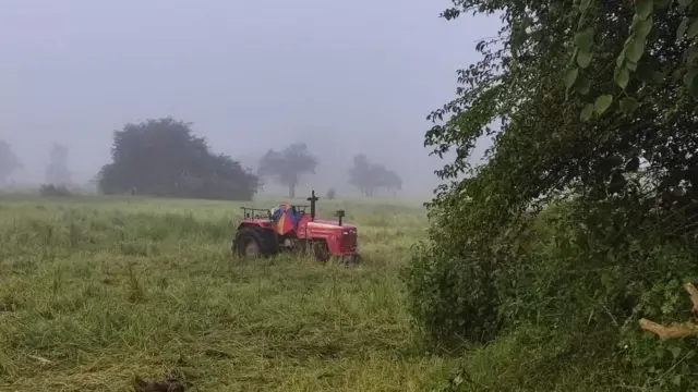 இலங்கை, மட்டக்களப்பு, தமிழர்கள், சிங்களர்கள், விவசாயம், கால்நடை, மாடுகள் 