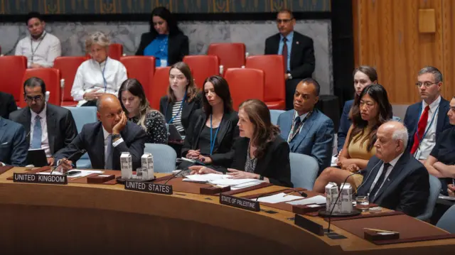 Conselho de Segurança da ONU