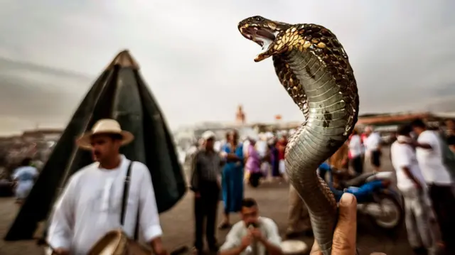બીબીસી ગુજરાતી