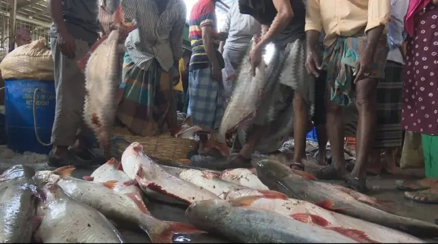 নদীর পাঙ্গাস।