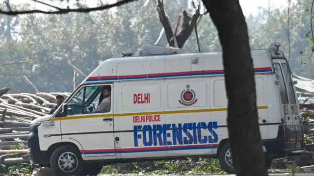 फॉरेंसिक्स