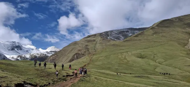 यार्सा टिप्न हिँडेका सङ्कलकहरू