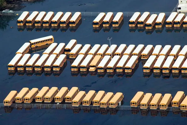 Filas de autobuses escolares en medio del agua