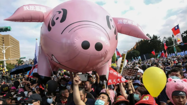 Taiwaneses fazem protesto contra carne suína americana