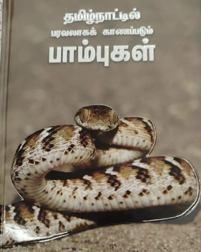 உலக பாம்புகள் தினம்