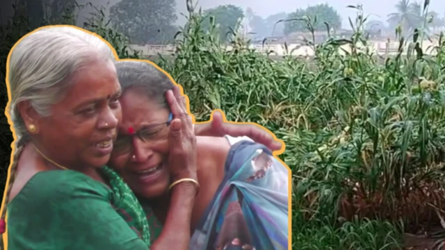 બીબીસી ગુજરાતી