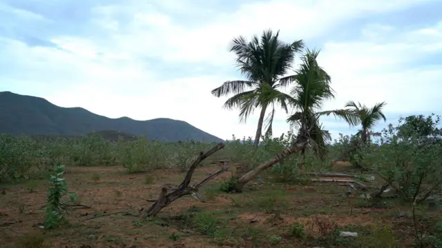 అన్నమయ్య డ్యాం విధ్వంసం