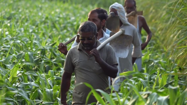 कृषि क्षेत्र के लोगों की है केंद्रीय बजट पर निगाहें