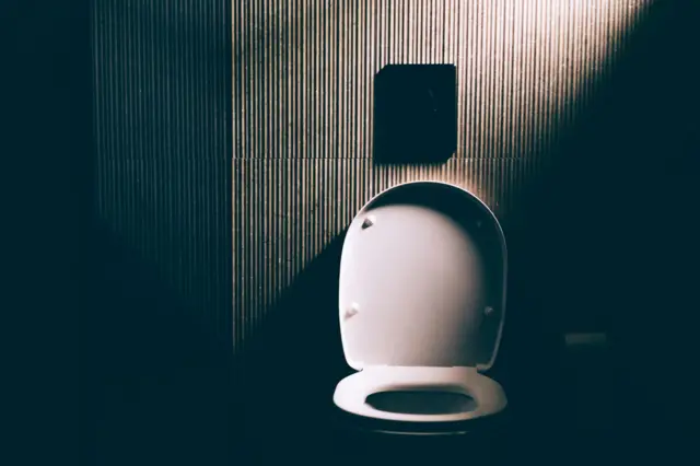 હેલ્થ, સ્વાસ્થ્ય, બીમારી, ટોઇલેટમાં કેવી રીતે બેસવું, બીબીસી ગુજરાતી, સંશોધન, રોગ