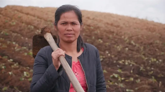 Food Estate di Sumatra Utara