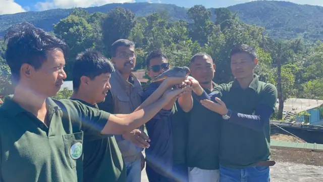 ગુજરાતનાં પક્ષીઓ, આમુર ફાલ્કન, યાયાવર પક્ષી, બીબીસી ગુજરાતી, આફ્રિકા, મણિપુર, પક્ષીઓનો પ્રવાસ