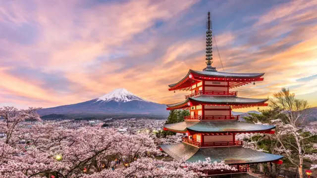 Una vista de los cerezos en Japón con el monte Fuji de fondo