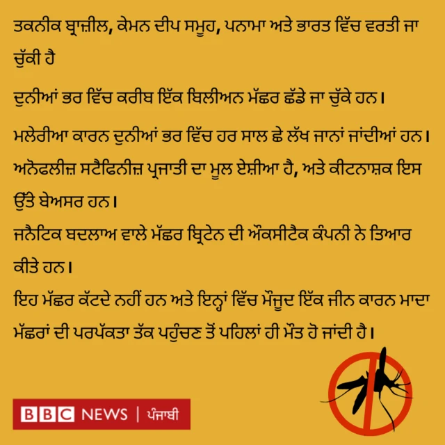 ਗਰਾਫਿਕਸ