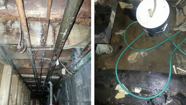  স্যাঁতসেঁতে বাড়িতে ফাঙ্গাস