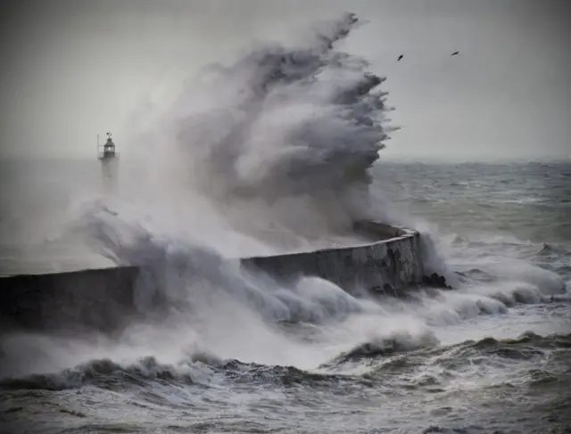 પ્રતીકાત્મક તસવીર