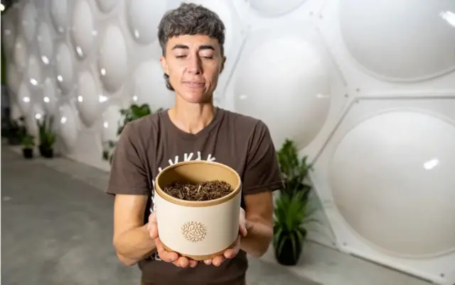 કેટરિના સ્પેડ