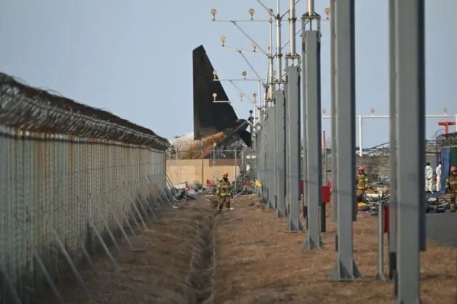 Jeju air, pesawat, korsel, kecelakaan, bandara muan