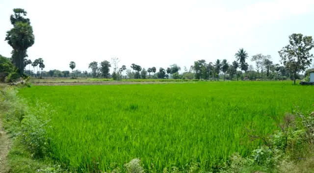 மேல்மா சிப்காட் போராட்டம் 