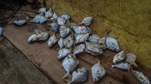 pertambangan, ekonomi