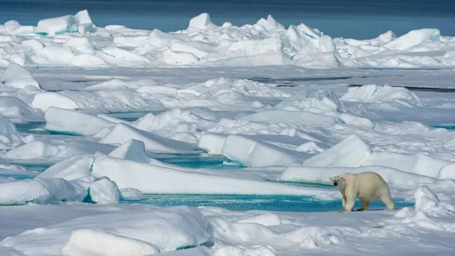 আর্কটিক অঞ্চলে রুশ তৎপরতা রিয়ে উদ্বিগ্ন নেটো