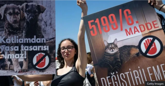 Зоозахисники