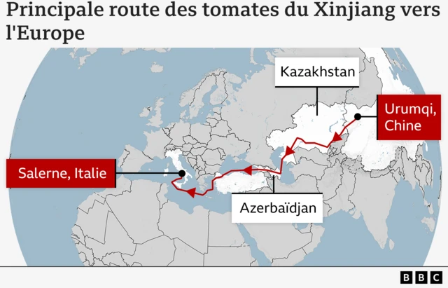 Carte montrant l'itinéraire emprunté par la plupart des tomates du Xinjiang pour se rendre en Italie, qui commence à Urumqi et se termine à Salerne. 