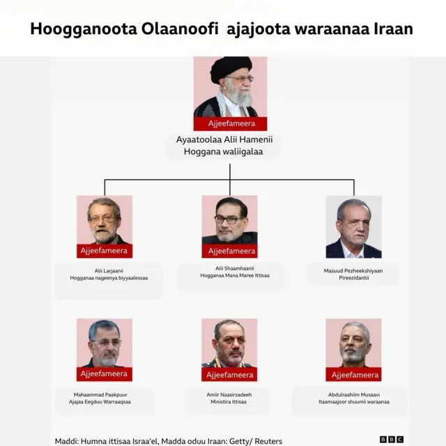 Hoogganoota ajjeefaman 