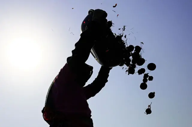 બીબીસી ગુજરાતી, ગુજરાત, ડુંગળી, ખેતી, ખેડૂત, મહુવા, ડુંગળીના ભાવ, ખેતી