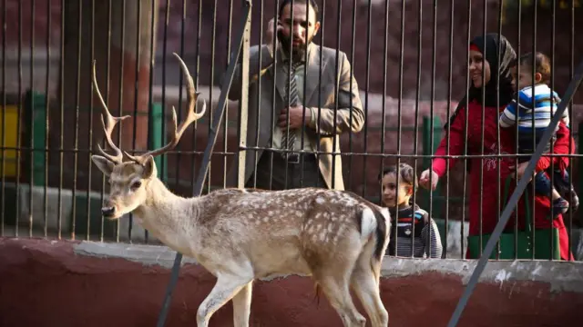 مصريون يتنزهون في حديقة حيوان الجيزة