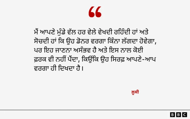 ਲੂਸੀ