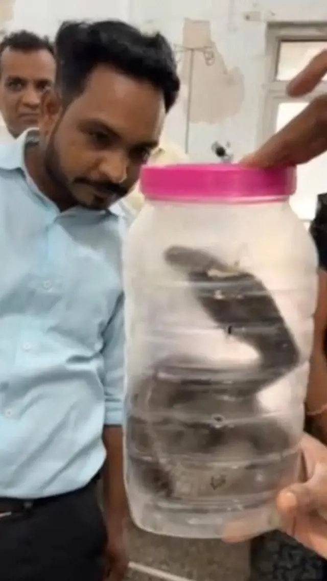 పాములు, విషం, ఆరోగ్యం