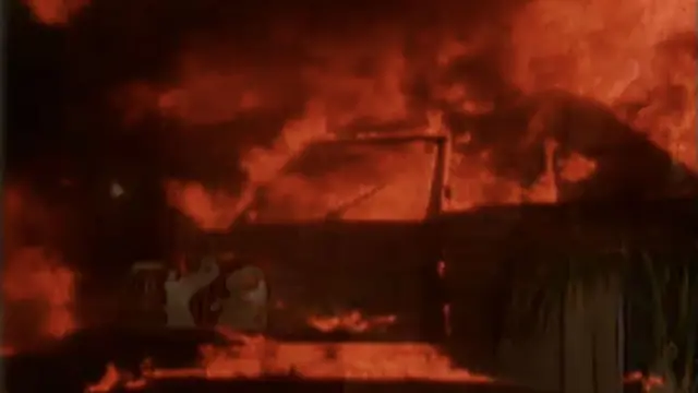 ਪ੍ਰੋਗਰਾਮ ਨੇ ਭਵਿੱਖਬਾਣੀ ਕੀਤੀ ਸੀ ਕਿ ਵਿੱਤੀ ਬਾਜ਼ਾਰਾਂ ਦੇ "ਵਾਇਰਲ ਅੱਤਵਾਦ ਦੇ ਸ਼ਿਕਾਰ" ਹੋਣ ਤੋਂ ਬਾਅਦ ਦੰਗੇ ਹੋਣਗੇ