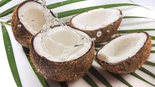 தேங்காய்க்குள் நீர் எப்படி வந்தது?