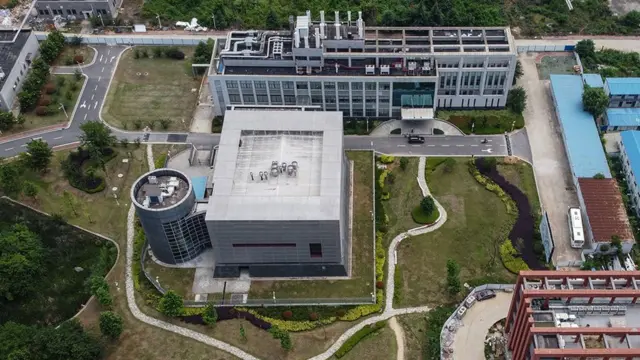 উহান ইনস্টিটিউট অব ভাইরোলজি