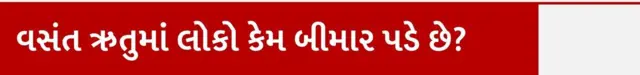વસંત ઋતુમાં લોકો કેમ બીમાર પડે છે, સિઝનલ બીમારી, શરદી ઉધરસ તાવ, હેલ્થ, સ્વાસ્થ્ય, બીમારી, ઋતુપલટો, સિઝન બદલાઈ ત્યારે બીમારી, બીબીસી ગુજરાતી, બીબીસી ન્યૂઝ ગુજરાતી 