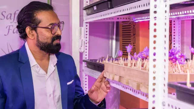 కుంకుమ పువ్వు