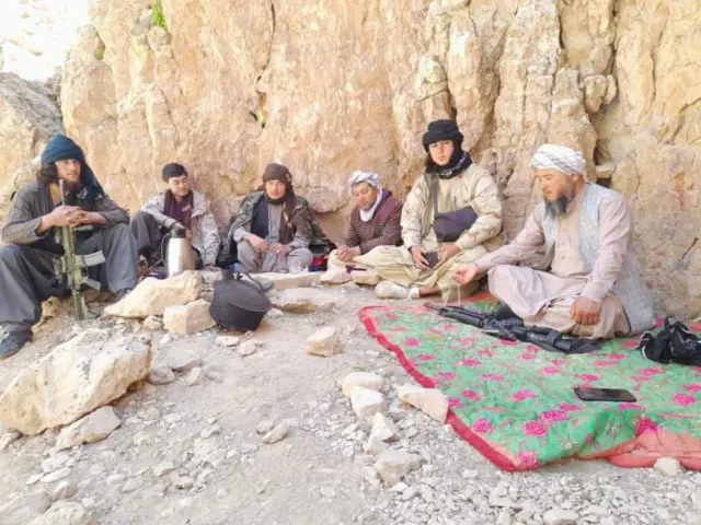 طاهر زهیر
