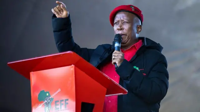 جولیوس مالما در سال ۲۰۱۲ از حزب کنگره ملی آفریقا (ANC) جدا شد و بعدها حزب مبارزان آزادی اقتصادی (EFF) را تأسیس کرد.