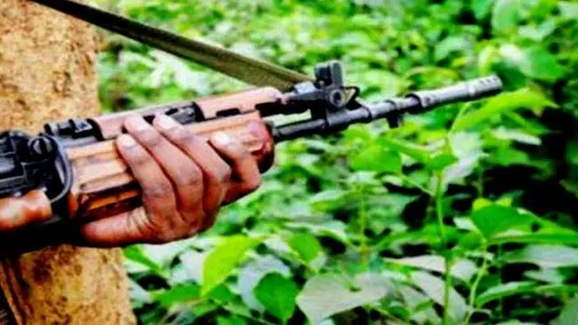 छत्तीसगडमध्ये नक्षलवाद्यांच्या विरोधात एक मोहीम सुरू आहे.