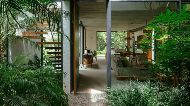 في مدينة ساو كارلوس في البرازيل