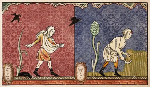 رجل في الحقل