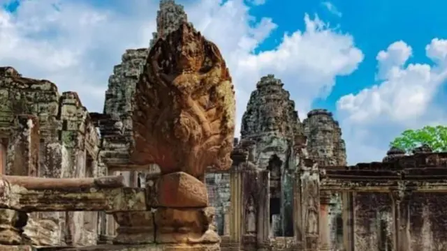 இந்தியாவில் கண்டுபிடிக்கப்பட்ட 4.7 கோடி ஆண்டுகள் பழமையான 'வாசுகி' பாம்பு - எவ்வளவு நீளம் தெரியுமா?