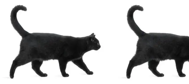 ቅድመ-ከባቢታት ሓንጎል ንዘይቅኑዕ ዝኽሪ ንምእራም ኣብ ዝፍትንሉ እዋን’ዩ ዊንታ ዘጋጥም