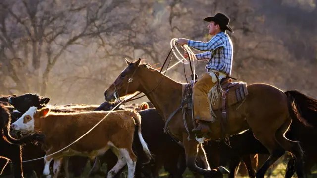 Foto genérica de un ranchero y un grupo de vacas.
