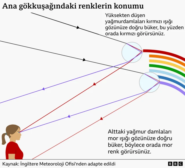 Gökkuşağının ana renklerinin konumunu gösteren bir grafik: Kırmızı daha yüksekteki yağmur damlalarında, mor ise daha alçaktaki yağmur damlalarında görülürken, turuncu, sarı, yeşil, mavi ve çivit mavisi bunların arasında yer alır.
