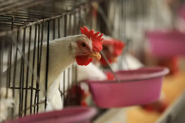 তীব্র শীতকে নিয়ন্ত্রণ করা গেলে এত মৃত্যু হতো না