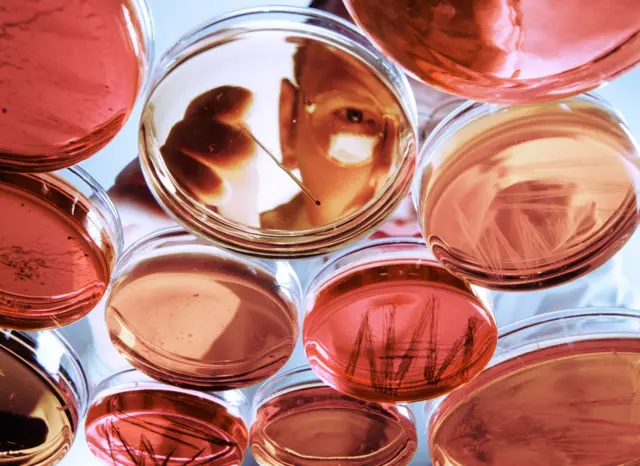 فردی در حال بررسی نمونه های آزمایشگاهی