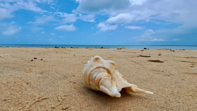 "මේ මුහුද ලස්සනටම තියෙන කාලය තමයි දෙසැම්බර් ඉඳන් මැයි මාසෙ වෙනකන්. ඒ කාලයට මුහුද ලස්සන නිල් පාටට තියෙනවා. 