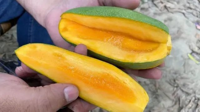 आंब्यातील पोषक द्रव्यं 