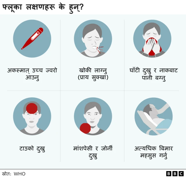 लक्षणहरू